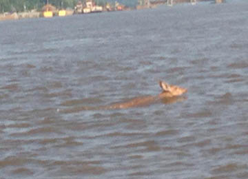 jetski extra gas cans and cooler mods